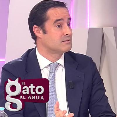 El Gato Al Agua | 18/12/2025