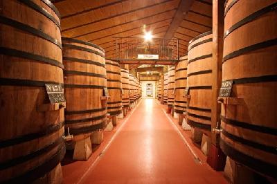 Las bodegas de la Asociación por la Calidad de Rioja duplican el impacto económico y social del sector