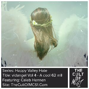 Happy Valley Hate: vidangel Vol 4 - A cool 62 mil