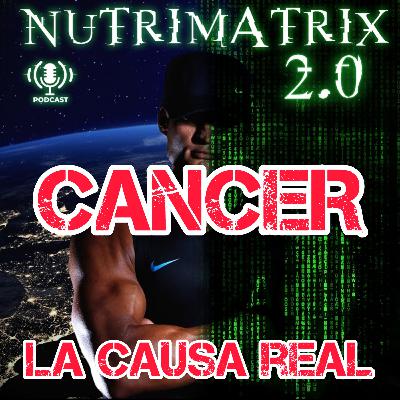 CANCER: Causas Reales que no te han contado y cómo evitarlo - NUTRIMATRIX 2.0 - ALEX GIMENEZ CANCER: Causas Reales que no te han contado y cómo evitarlo - NUTRIMATRIX 2.0 - ALEX GIMENEZ