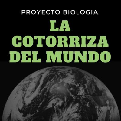 My Supercar World - Episode 12: REVVED UP FOR FALL: SUMMER RECAP AND WHAT'S NEXT My Supercar World - Episode 12: REVVED UP FOR FALL: SUMMER RECAP AND WHAT'S NEXT