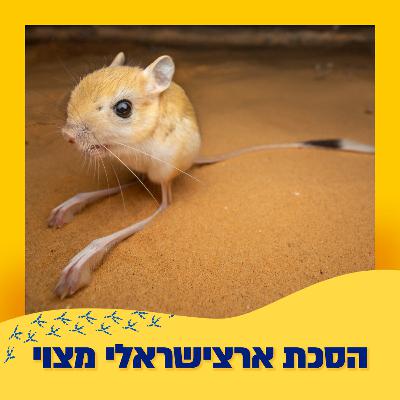 ירבועים