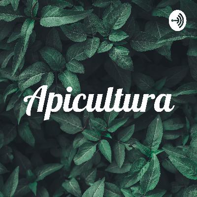 La importancia de la sociedad civil en México