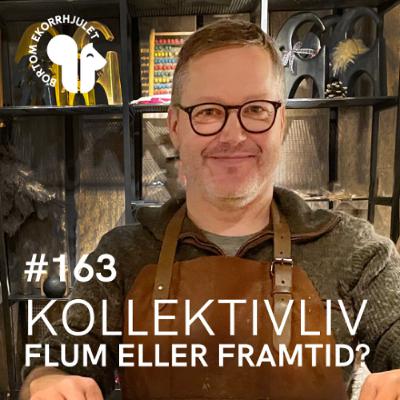 163. Kollektivliv - flum eller framtid? 163. Kollektivliv - flum eller framtid?