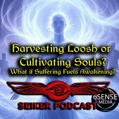 Harvesting Loosh or Cultivating Souls? What if Suffering Fuels our Awakening? Harvesting Loosh or Cultivating Souls? What if Suffering Fuels our Awakening?