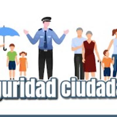 Seguridad ciudadana