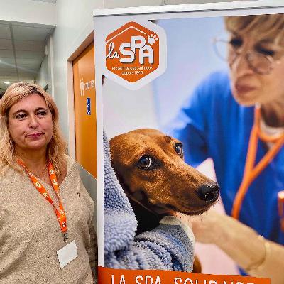 Un Dispensaire SPA flambant neuf à Lyon