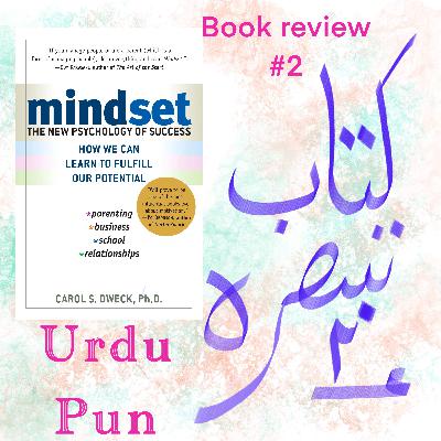 Urdu Pun Book Review 2 Mindset