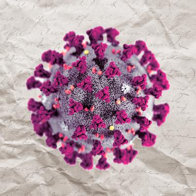 A Small Museums Take On Reopening A Small Museums Take On Reopening