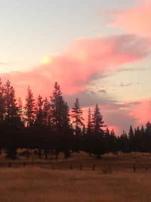 Day, Part One – December 3, 2024