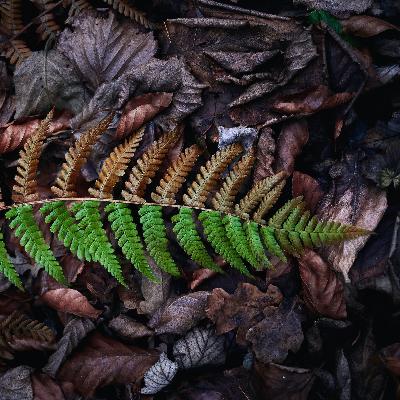 8. விழிப்புணர்வு கவிதைகளின் வரிசையில்