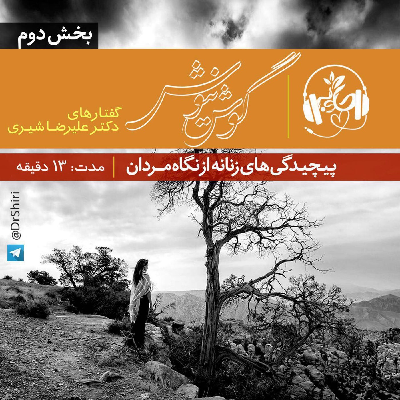 پیچیدگی های زنانه از نگاه مردان ۲