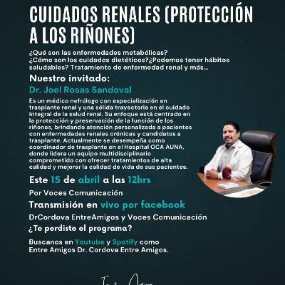 Cuidados Renales (Protección a los Riñones) Cuidados Renales (Protección a los Riñones)