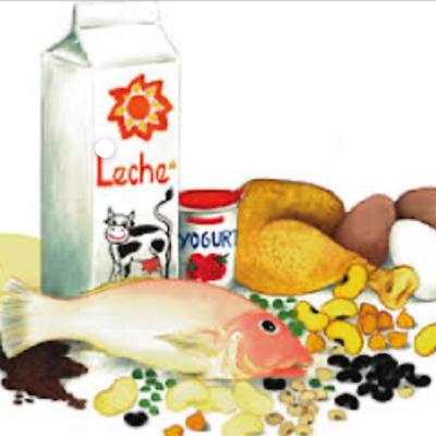 El universo de las proteínas