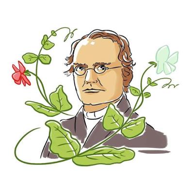 Leyes de Mendel