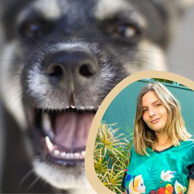 Las emociones en nuestras mascotas