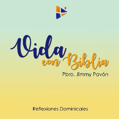 Evangelio del día | Domingo de la XVI Semana del Tiempo Ordinario | Año Litúrgico 2019-2020 - (Ciclo A)