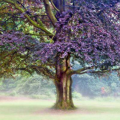 Planting a Seed and Living With Expectancy Planting a Seed and Living With Expectancy