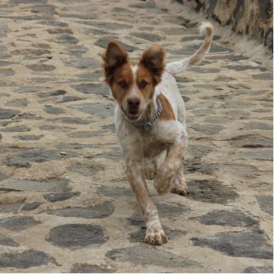 La realidad de los rescates parte 1