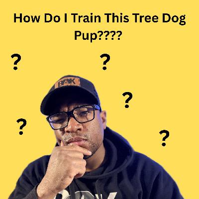 Starting a Young Tree Dog, 8 Training Frame Works for Success Starting a Young Tree Dog, 8 Training Frame Works for Success