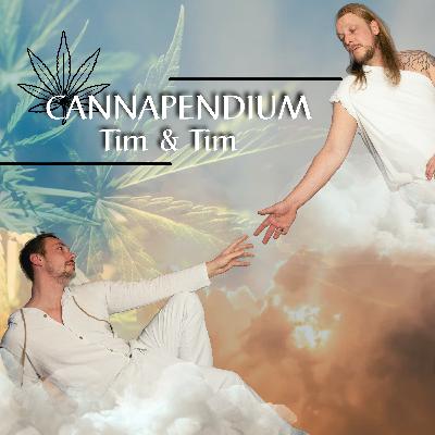 #40-Unser Review zum SANlight-Trip #40-Unser Review zum SANlight-Trip