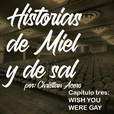 HISTORIAS DE MIEL Y DE SAL. Chapter 3. WISH YOU WERE GAY