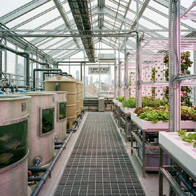 Lebanese Aquaponics Decoupled System