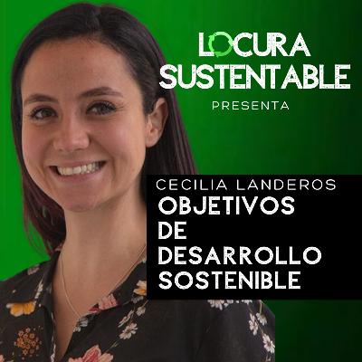 9: Objetivos de Desarrollo Sostenible con Cecilia Landeros