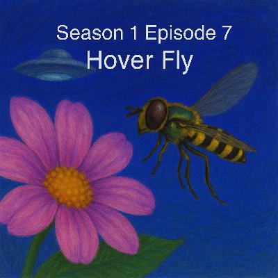 The Great Hover Fly Con