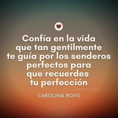 CURACI脫N Y RECUPERACI脫N /CAPITULO 8/ Gestionar las grandes crisis CURACI脫N Y RECUPERACI脫N /CAPITULO 8/ Gestionar las grandes crisis