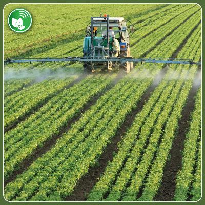 Fertilizantes en alerta: precios en alza y decisiones clave para la campaña de trigo