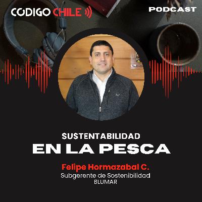 La Sustentabilidad en la Pesca
