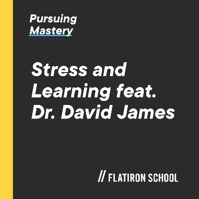Stress And Learning feat David James