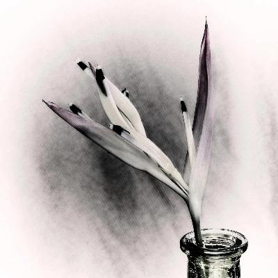 Chapter 36: Rainy Day Blues