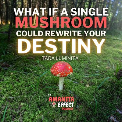 What If a single Mushrom Could Rewrite Your DESTINY 🍄