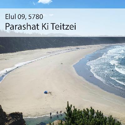 AE: Torah for the Earth - Ki Teitzei AE: Torah for the Earth - Ki Teitzei