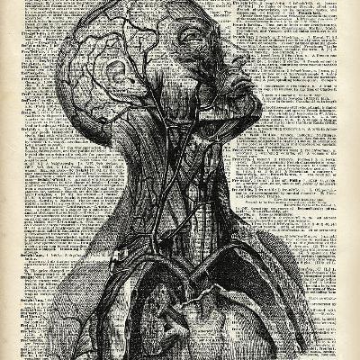 ep.75 Medicina e Arte (parte 2)- il corpo umano come opera d'arte attraverso le tavole e le cere