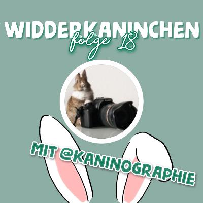 WIDDER- Qualzucht? 😢😬- mit Tierärztin Cilli Siedl von @kaninographie //S3 Folge 18 //Lauscher auf! WIDDER- Qualzucht? 😢😬- mit Tierärztin Cilli Siedl von @kaninographie //S3 Folge 18 //Lauscher auf!