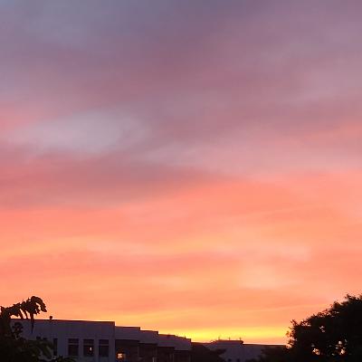 EP.26 秋天的音樂聯想 EP.26 秋天的音樂聯想