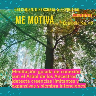 #49–Meditación: Conexión con tus Ancestros en el Árbol Sagrado #49–Meditación: Conexión con tus Ancestros en el Árbol Sagrado
