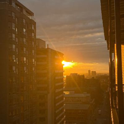 (S1 E8) (Finale) "The resemblance is uncanny"