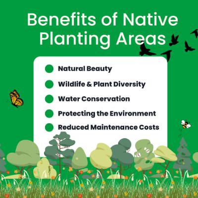 Rewriting the Rulebook for Greener Communities
