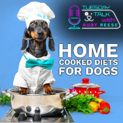 Home Cooked Diets for Dogs