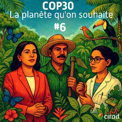 COP30 | Belém : le bilan