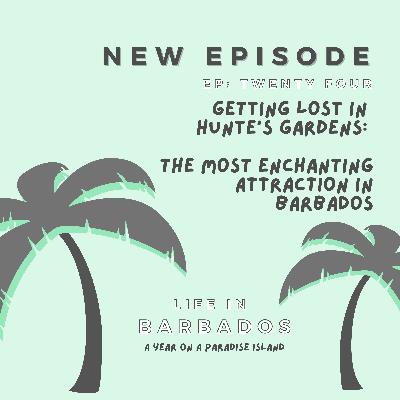 Gardens in Barbados: visiting Hunte's gardens, the "most enchanting attraction" in Barbados. Gardens in Barbados: visiting Hunte's gardens, the "most enchanting attraction" in Barbados.