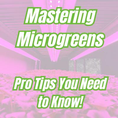 Microgreens Tips I Wish I’d Known Sooner – Q&A with Jonah