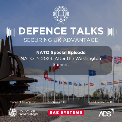 NATO in 2024: After the Washington Summit