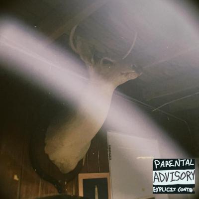 Anorexys Reloaded Anorexys Reloaded