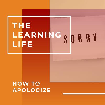 AI Generated - How to Apologize at Work (The Learning Life #12) AI Generated - How to Apologize at Work (The Learning Life #12)