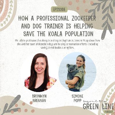 How A Professional Zookeeper And Dog Trainer Is Helping Save The Koala Population - with Simone Popp